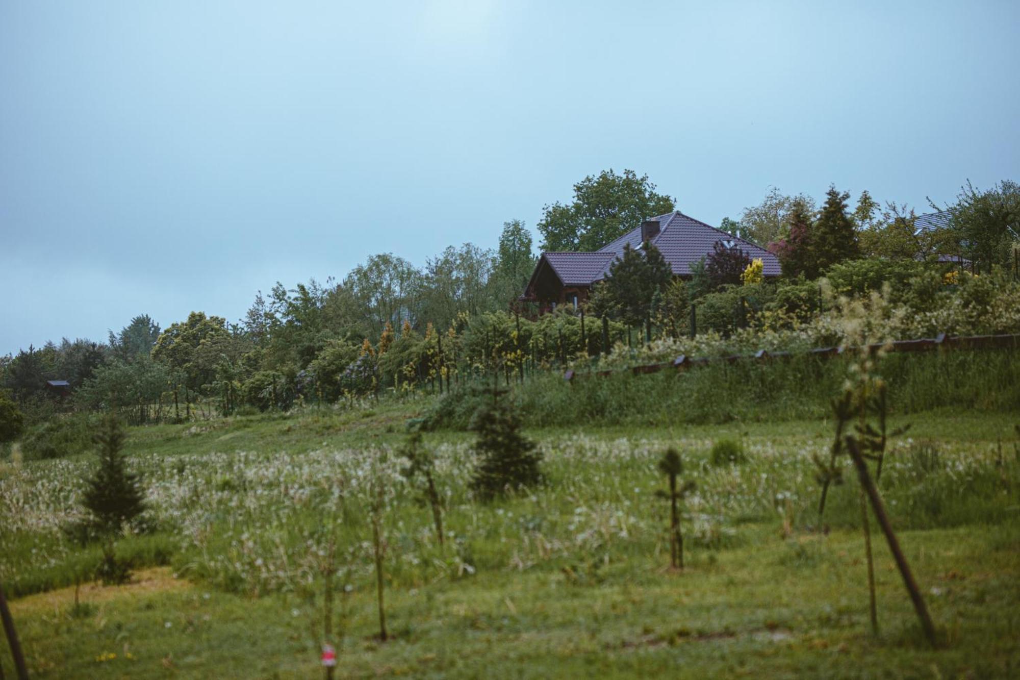Domki Na Gorniej Lace - Domek Slowik Lazany Exterior photo